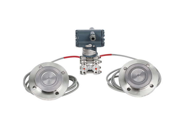 雙法蘭液位變送器